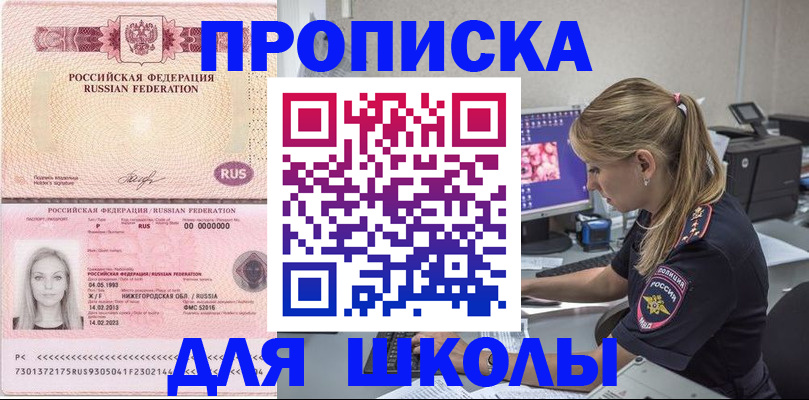 пропишу в квартире в Электрогорске